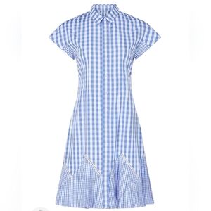 Thakoon Blue and White Gingham Shirt Dress